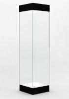 Музейная витрина В.М-1