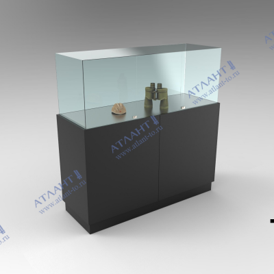 Витрина музейная В.С.4